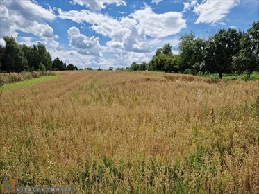 Działka budowlana 1097 m² w Kozierowie - polecam! działka Kozierów