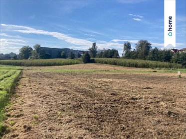 działka na sprzedaż 4000m2 działka Siepraw