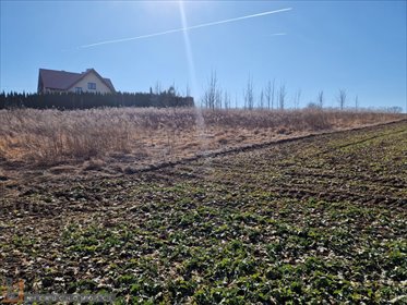 Działka budowlana na sprzedaż Narama 1 500m2 Foto 2