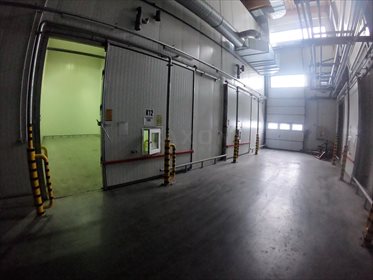 Lokal użytkowy na wynajem Regnów 1 800m2 Foto 6