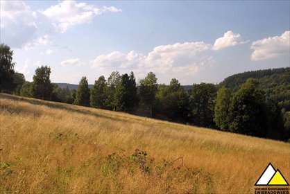 działka na sprzedaż 19240m2 działka Świeradów-Zdrój