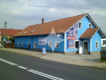 magazyn na sprzedaż 550m2 magazyn Czerna