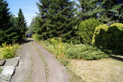 działka na sprzedaż 1217m2 działka Poznań, Winiary