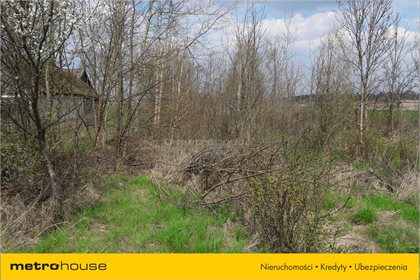 Działka rolna na sprzedaż Żeliszew Duży, Kotuń 4 000m2 Foto 3