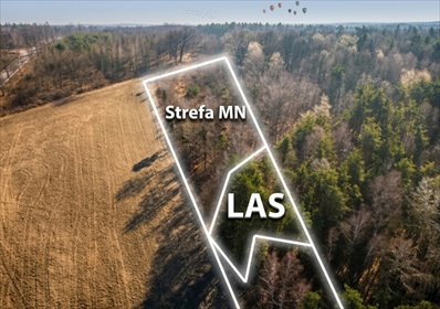 Działka 1,39ha z lasem i możliwością budowy, KOWR działka Kolonia Góra Puławska