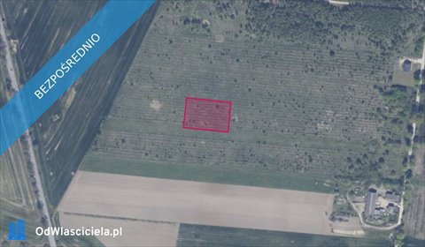 działka na sprzedaż 3010m2 działka Gołębiewo Wielkie