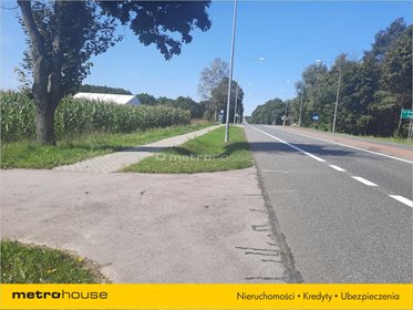 Działka rolna na sprzedaż Jagodne, Kotuń 60 000m2 Foto 2