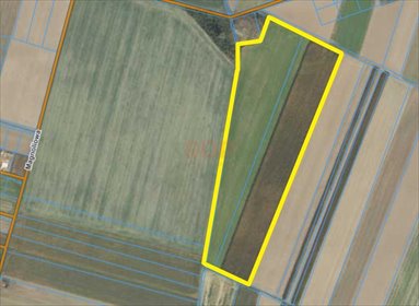 działka na sprzedaż 77000m2 działka Michałowice