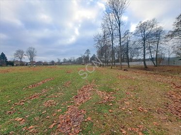 działka na sprzedaż 1000m2 działka Michałów-Reginów