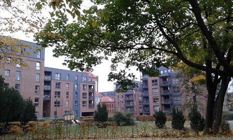 mieszkanie na wynajem 43m2 mieszkanie Gdańsk, Wrzeszcz, Lelewela