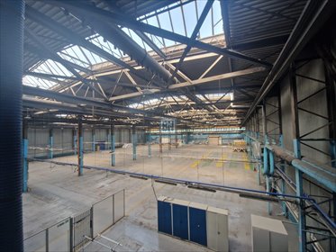Na wynajem hala 6000m² z biurowcem, suwnicą i wysokim sufitem lokal użytkowy Mikołów