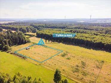 działka na sprzedaż 3001m2 działka Dąbrowa Brzezieńska