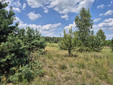 Działka budowlana 1026 m2 w spokojnej okolicy. działka Mokra Lewa