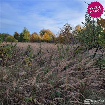 działka na sprzedaż 2992m2 działka Nowogard, Obrzeża miasta