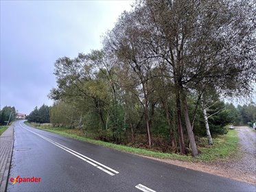 działka na sprzedaż 9000m2 działka Libidza, Stawowa