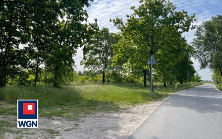 Działka budowlana 4,5 ha w Kotowicach - polecam! działka Kotowice, Kotowice, Kotowice