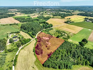 działka na sprzedaż 15200m2 działka Czarna Huta, Szara