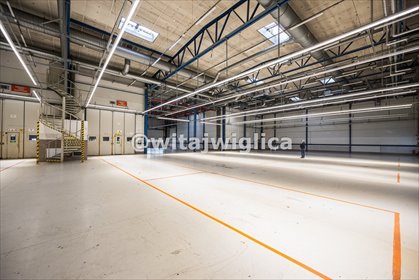 magazyn na wynajem 2854m2 magazyn Wrocław, Psie Pole, Kowale