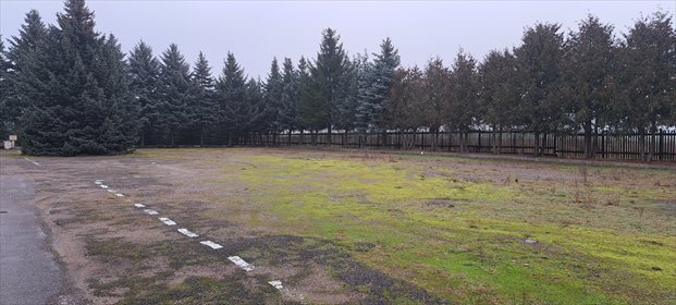 działka na sprzedaż 745m2 działka Żółtki