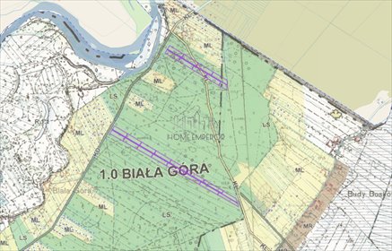 Działka 3000 m² pod lasem w Białej Górze - polecam! działka Biała Góra, Biała Góra