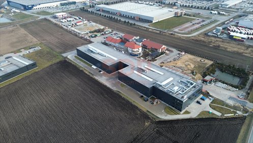 lokal użytkowy na wynajem 1800m2 lokal użytkowy Domasław