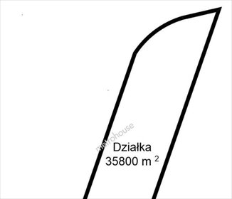 Działka rolna na sprzedaż Nowa Wola 35 800m2 Foto 4