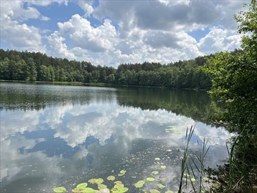 działka na sprzedaż 10451m2 działka Świerkocin