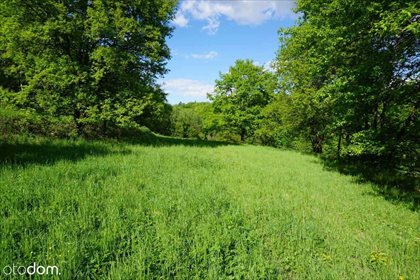 Działka rolna na sprzedaż Tomaszowice, ul. Podskalany 1 600m2 Foto 1