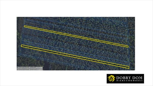 działka na sprzedaż 11457m2 działka Achrymowce