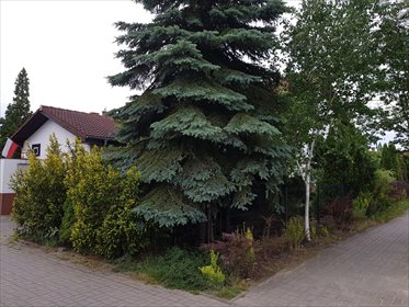 Dom na wynajem Złotniki, Sosnowa 149m2 Foto 1