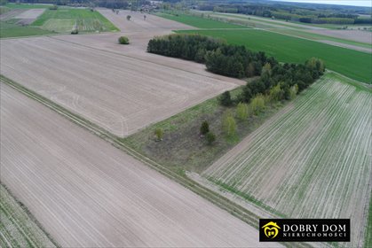 Działka rolna 1,08 ha z możliwością uporządkowania działka Orla