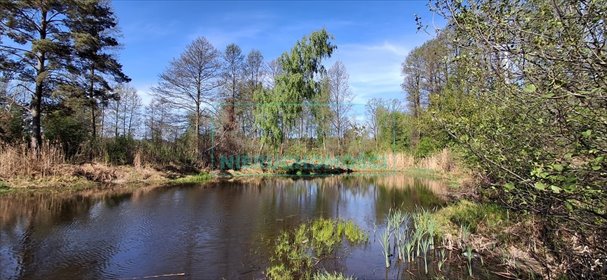 Unikatowa działka z stawem i lasem, 20 300 m², Janinów działka Janinów