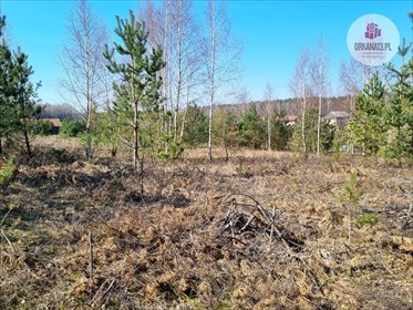 Działka rolna na sprzedaż Biesówko, Biesówko 4 093m2 Foto 1