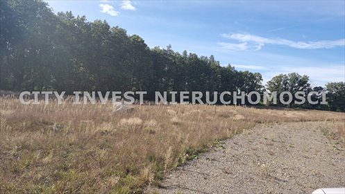 działka na sprzedaż 3100m2 działka Trzebule