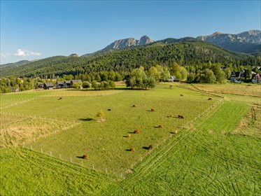 Polecam działkę 3115 m² w Kościelisku z potencjałem rozwoju działka Kościelisko, Gronik