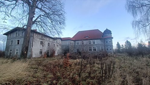 Zabytkowy Pałac w Małkowie (2 053 m²) z działkami, inwestycja dom Małkowo, Pałacowa