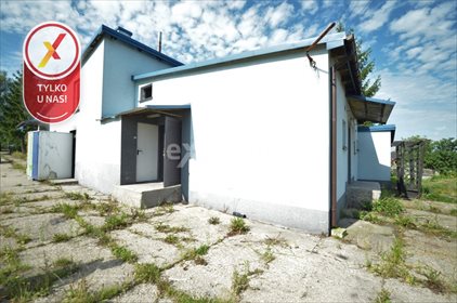 Lokal użytkowy na sprzedaż Fasty, Szosa Knyszyńska 4 907m2 Foto 6