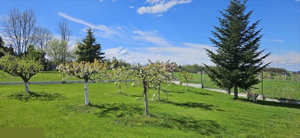 działka na sprzedaż 2009m2 działka Górki Wielkie, Solarska