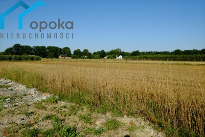 działka na sprzedaż 1093m2 działka Zaborze, Darwina