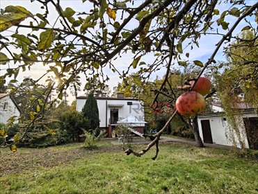 dom na sprzedaż 130m2 dom Żyrardów