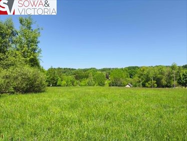 Działka 1400 m2 z drzewami, plan pod zabudowę działka Sierpnica