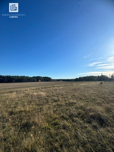 Działka budowlana 1451 m² w Wdzydzach Tucholskich zapraszam działka Wdzydze Tucholskie