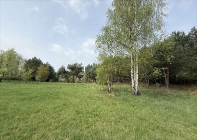 działka na sprzedaż 14000m2 działka Szyszkowiec