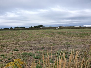 działka na sprzedaż 4040m2 działka Wrocław, Strachowice, Strachowice, Jerzmanowska