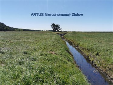 działka na sprzedaż 9800m2 działka Święta, Święta