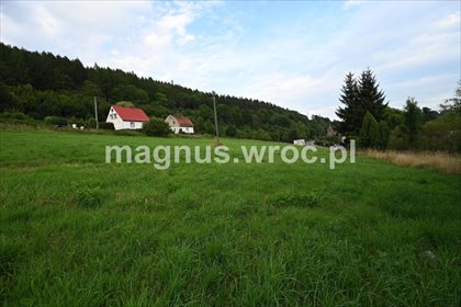 działka na sprzedaż 1083m2 działka Ludwikowice Kłodzkie, Słoneczna