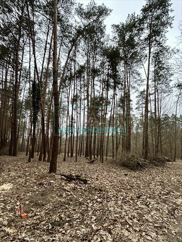 działka na sprzedaż 1378m2 działka Adamów-Parcel