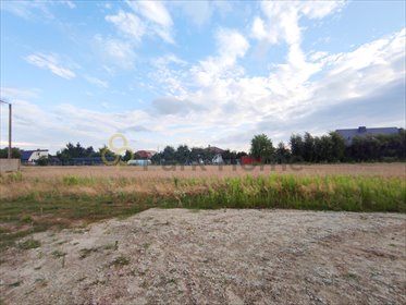 działka na sprzedaż 2352m2 działka Krajewice