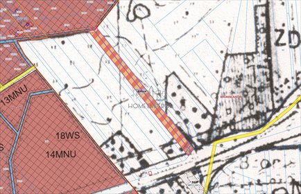 Zapraszam do zakupu działek 6902 m² w Bronisławowie działka Bronisławów, Kalinowa