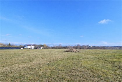 działka na sprzedaż 3430m2 działka Pszów, Łanowa